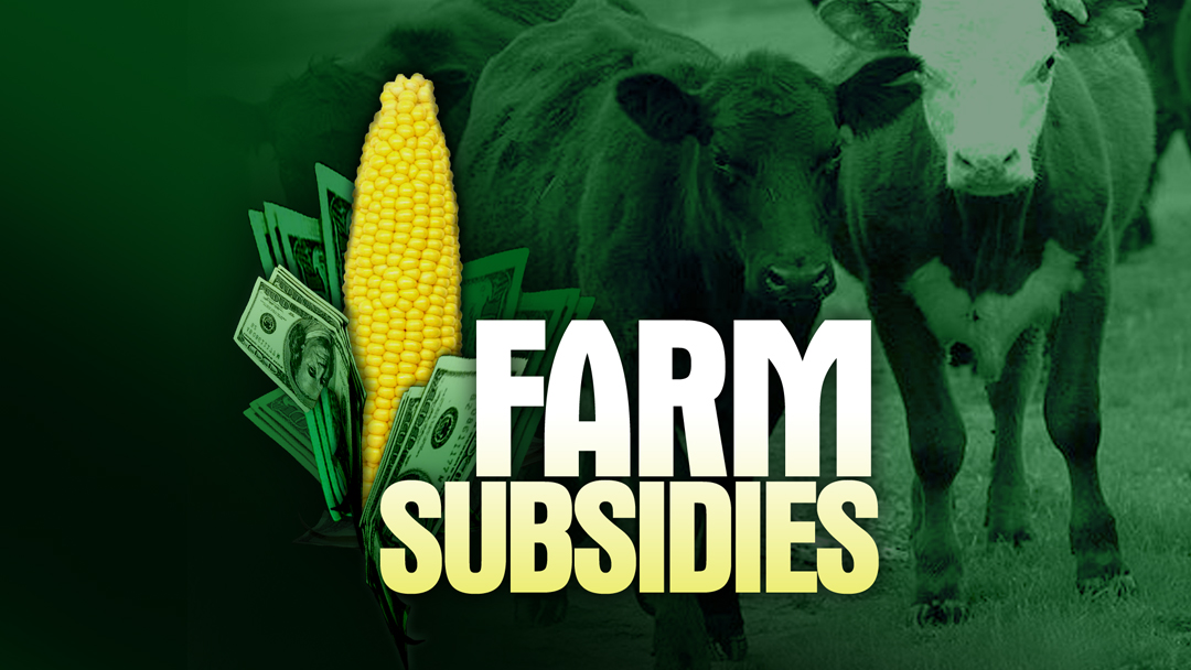 Farm Subsidies