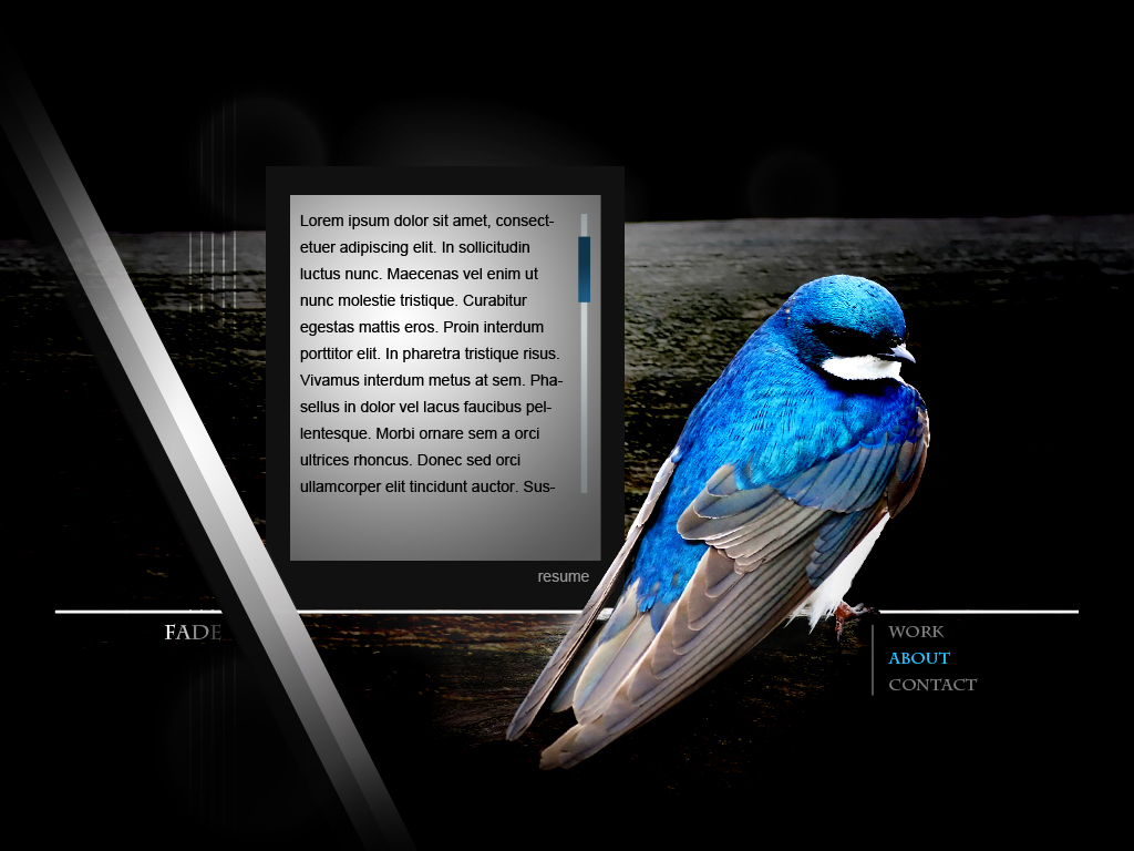Personal Flash Site - About page mockup